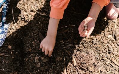 Bramblewood Earns Eco Schools Green Flag with Distinction