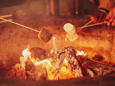Toasting marshmallows at the fire pit