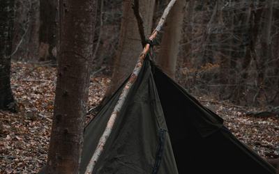 Forest School Sessions Extended to All Year Groups